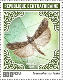 Stamp, Genophantes leahi, Central African Republic,  , Animals (Fauna), Butterflies, Insects