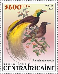Greater Bird-of-Paradise (Paradisaea apoda)