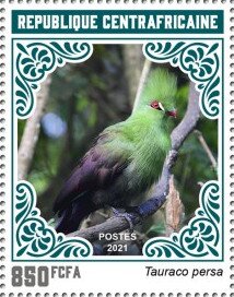 Guinea Turaco (Tauraco persa)