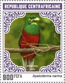 Stamp, Narina Trogon (Apaloderma narina), Central African Republic,  , Animals (Fauna), Birds