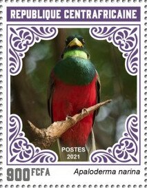 Stamp, Narina Trogon (Apaloderma narina), Central African Republic,  , Animals (Fauna), Birds