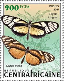 Olyras insignis
