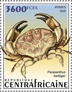 Paraxanthus barbiger