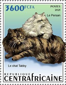 Persian and Tabby Cat