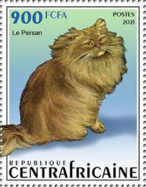 Persian Cat