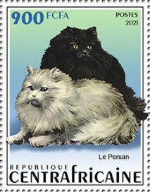 Persian Cats