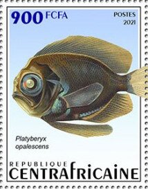 Stamp, Platyberyx opalescens, Central African Republic,  , Animals (Fauna), Fishes, Sea Life