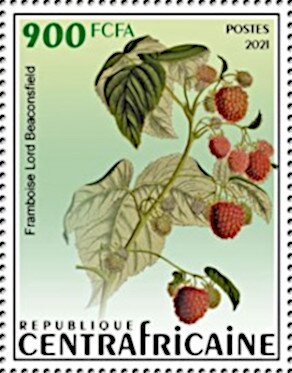Raspberry