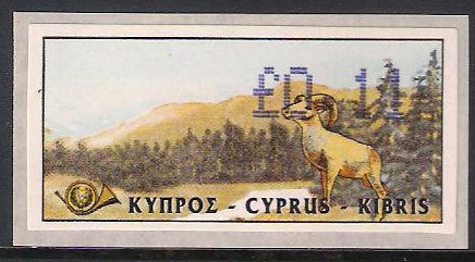 Cyprus Mouflon (Ovis musimon orientalis)