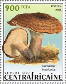 Shingled Hedgehog (Sarcodon imbricatus)