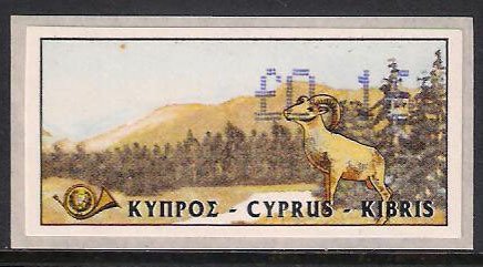 Cyprus Mouflon (Ovis musimon orientalis)