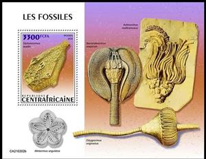 Souvenir Sheet, Siphonocrinus nobilis, Central African Republic,  , Fossils, Prehistory