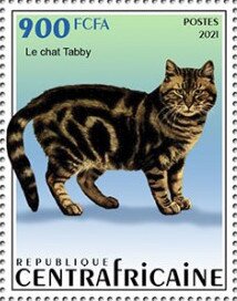 Tabby Cat
