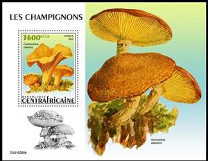 Souvenir Sheet, The Girolle Mushroom (Cantharellus cibarius), Central African Republic,  , Mushrooms, Plants (Flora)