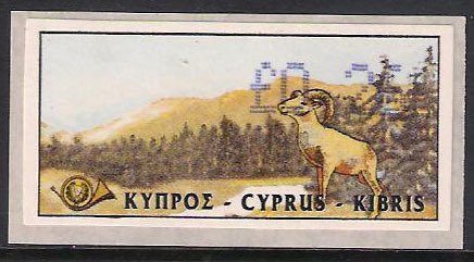 Cyprus Mouflon (Ovis musimon orientalis)