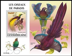 Souvenir Sheet, The Greater Bird of Paradise (Paradisaea apoda), Central African Republic,  , Birds