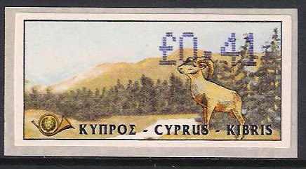 Cyprus Mouflon (Ovis musimon orientalis)
