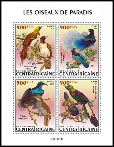 Various Birds