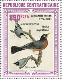 Various Birds