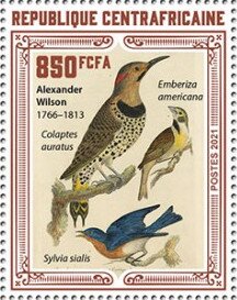 Various Birds