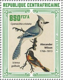 Various Birds