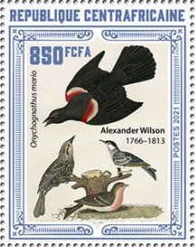 Various Birds