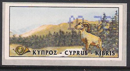 Cyprus Mouflon (Ovis musimon orientalis)