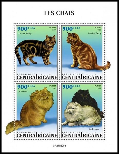 Various Domestic Cats