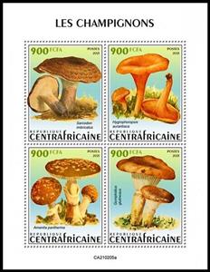 Mini Sheet, Various Mushrooms, Central African Republic,  , Mushrooms, Plants (Flora)