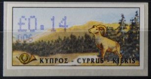 Cyprus Mouflon (Ovis musimon orientalis)