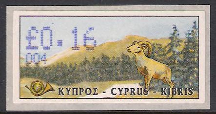 Cyprus Mouflon (Ovis musimon orientalis)