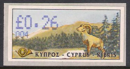 Cyprus Mouflon (Ovis musimon orientalis)