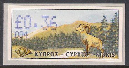 Cyprus Mouflon (Ovis musimon orientalis)