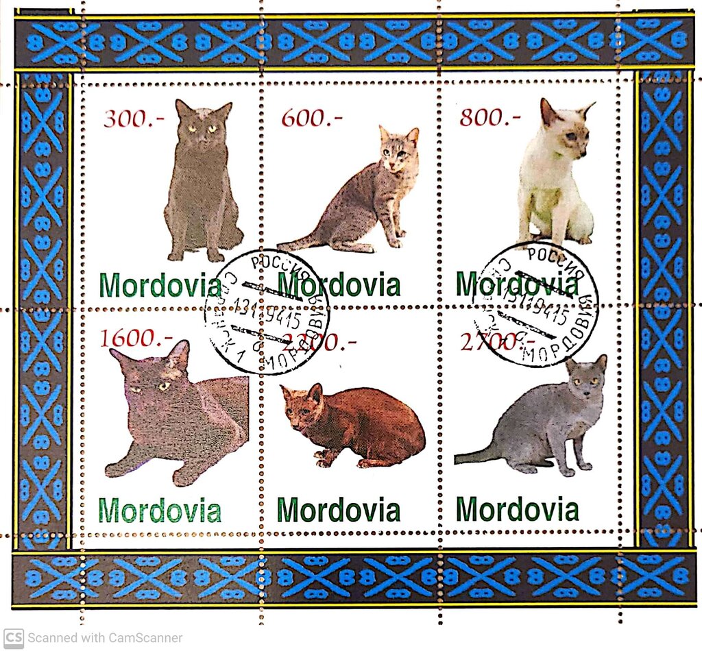 1994 Cats