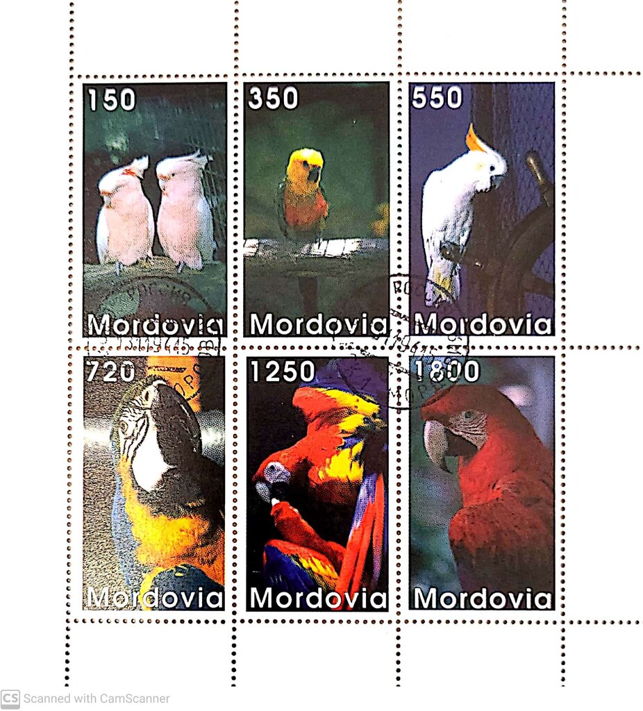 1998 Parrots