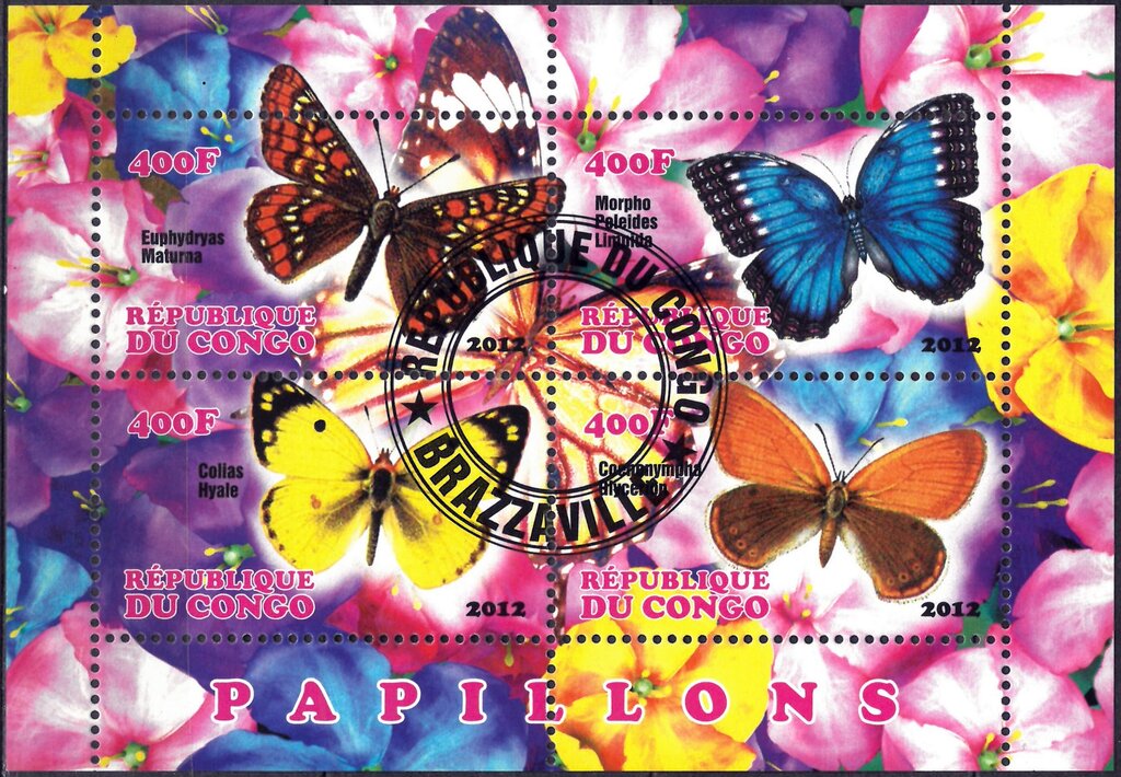 Butterflies
