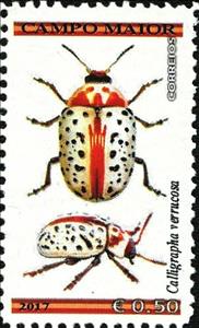Stamp, Calligrapha verucosa, Cinderellas,  , Animals (Fauna), Insects