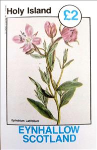 Souvenir Sheet, Epilobium Latifolium, Cinderellas,  , Flowers, Plants (Flora)