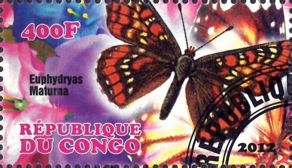 Euphydryas Maturna
