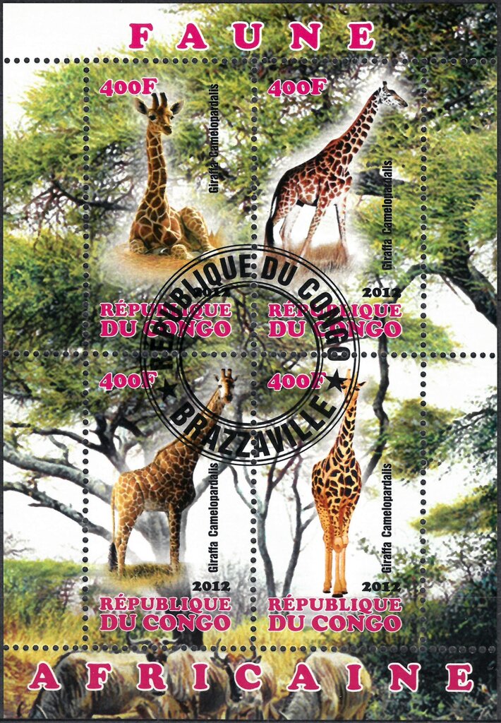 Faune Africaine