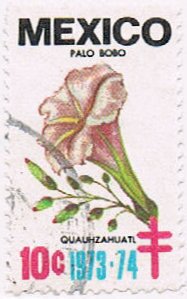 Flower Quauhzauatl Palo Bono
