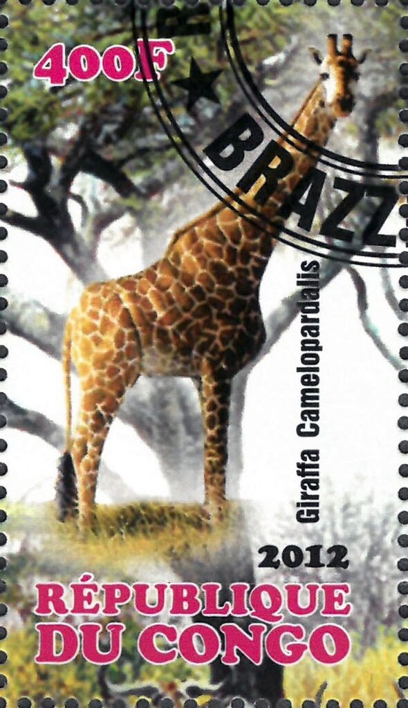 Giraffa Camelopardalis