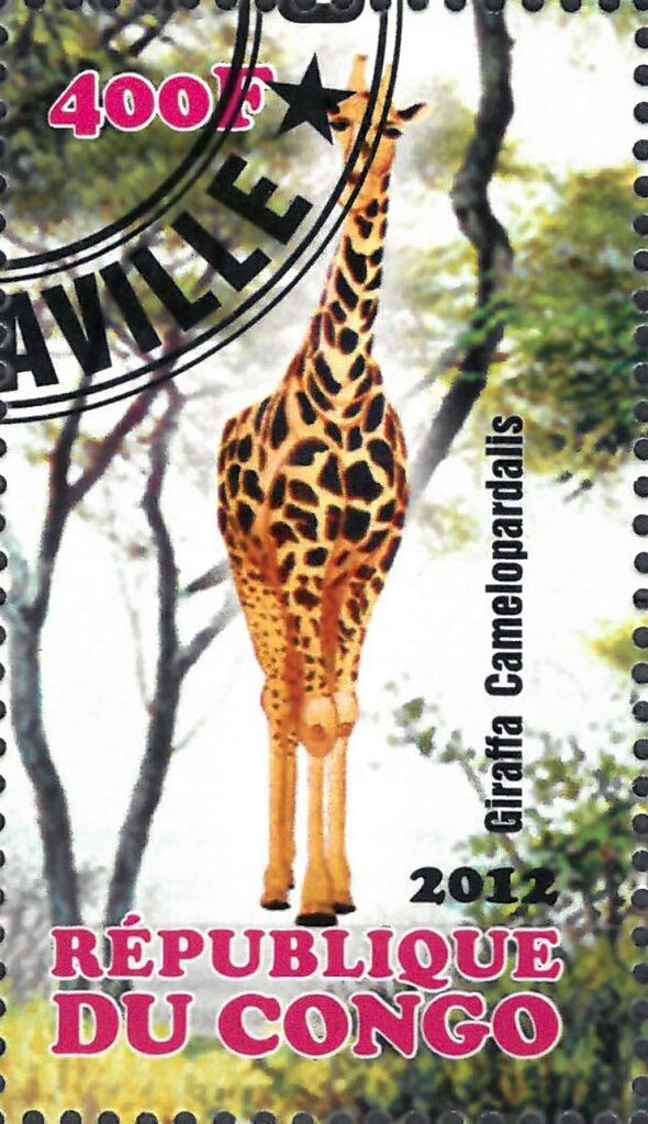 Giraffa Camelopardalis