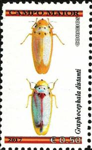 Stamp, Graphocephala distanti, Cinderellas,  , Animals (Fauna), Insects