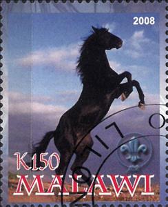 Stamp, Horse, Cinderellas,  , Animals (Fauna), Horses, Mammals