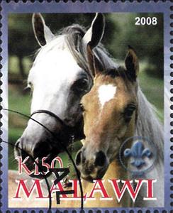 Stamp, Horse, Cinderellas,  , Animals (Fauna), Horses, Mammals