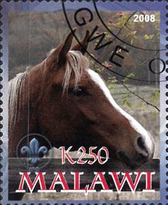 Stamp, Horse, Cinderellas,  , Animals (Fauna), Horses, Mammals