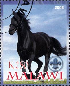 Stamp, Horse, Cinderellas,  , Animals (Fauna), Horses, Mammals