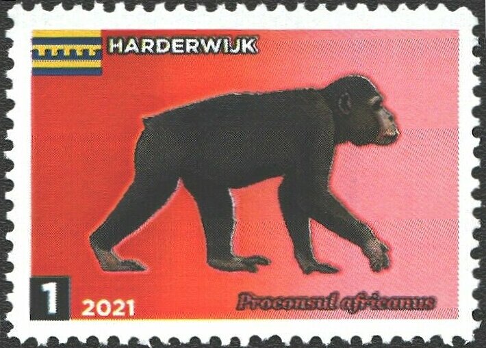 Prehistoric monkeys
