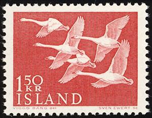 Stamp, Whooper Swan (Cygnus cygnus), Iceland,  , Birds, Swans, Norden, Animals (Fauna)
